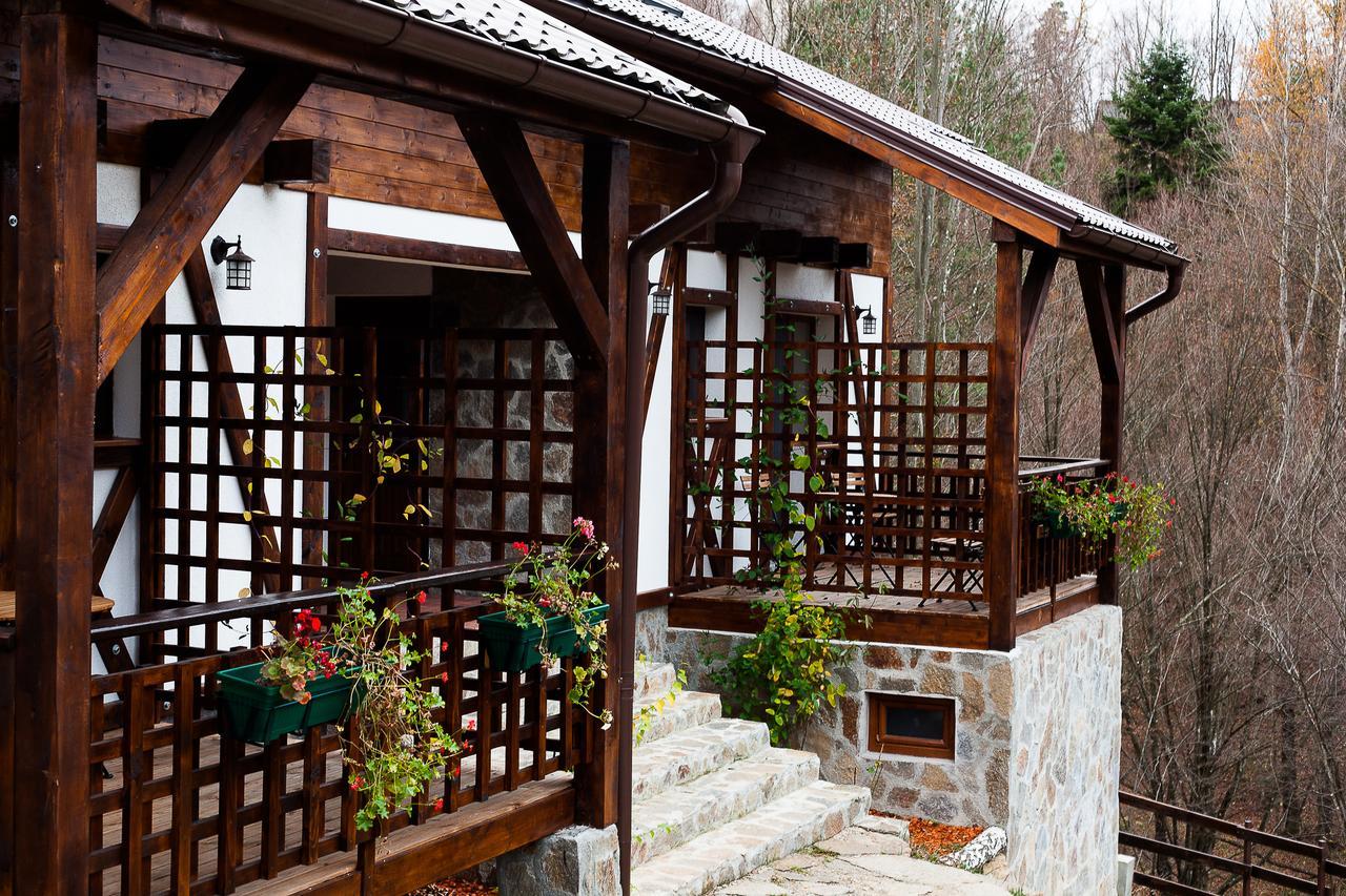 Casa Gozna Leilighet Văliug Eksteriør bilde