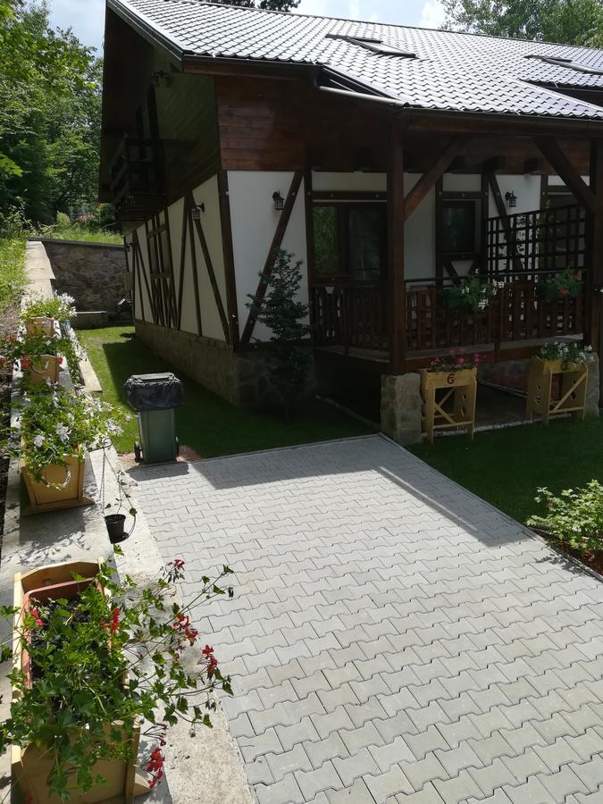 Casa Gozna Leilighet Văliug Eksteriør bilde
