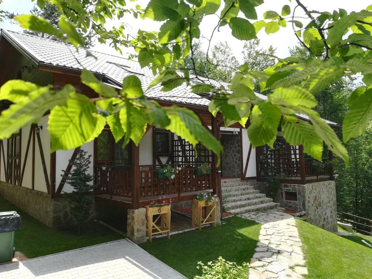 Casa Gozna Leilighet Văliug Eksteriør bilde